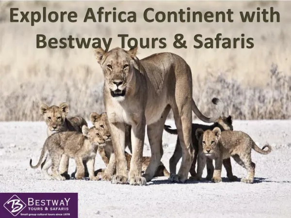 Explore Africa Continent with Bestway Tours & Safaris