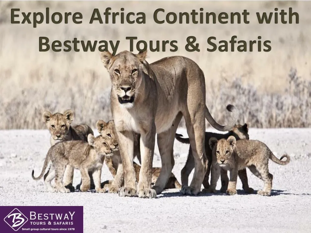 explore africa continent with bestway tours