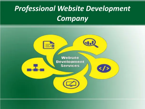 professional website development company