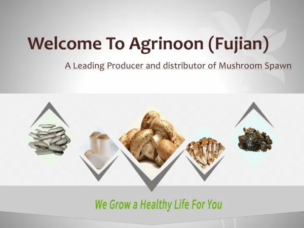 Agrinoon (Fujian) Ecological Agriculture Company Limited