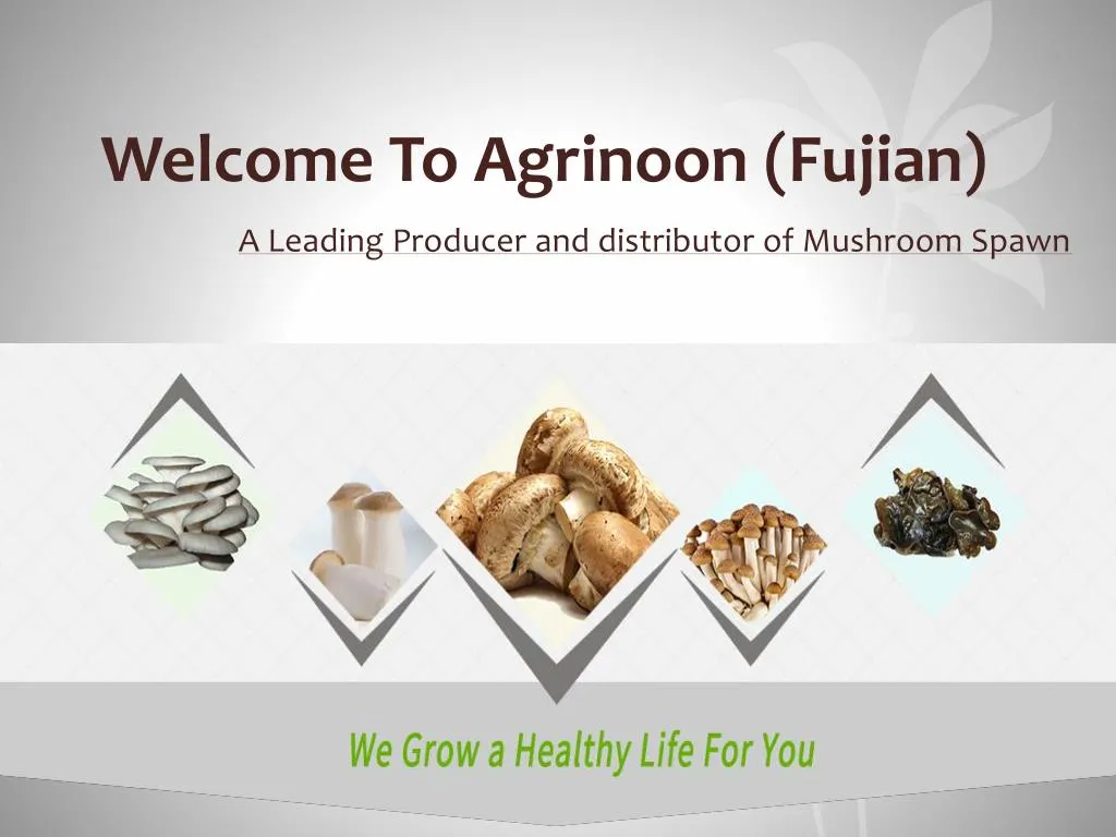 welcome to agrinoon fujian