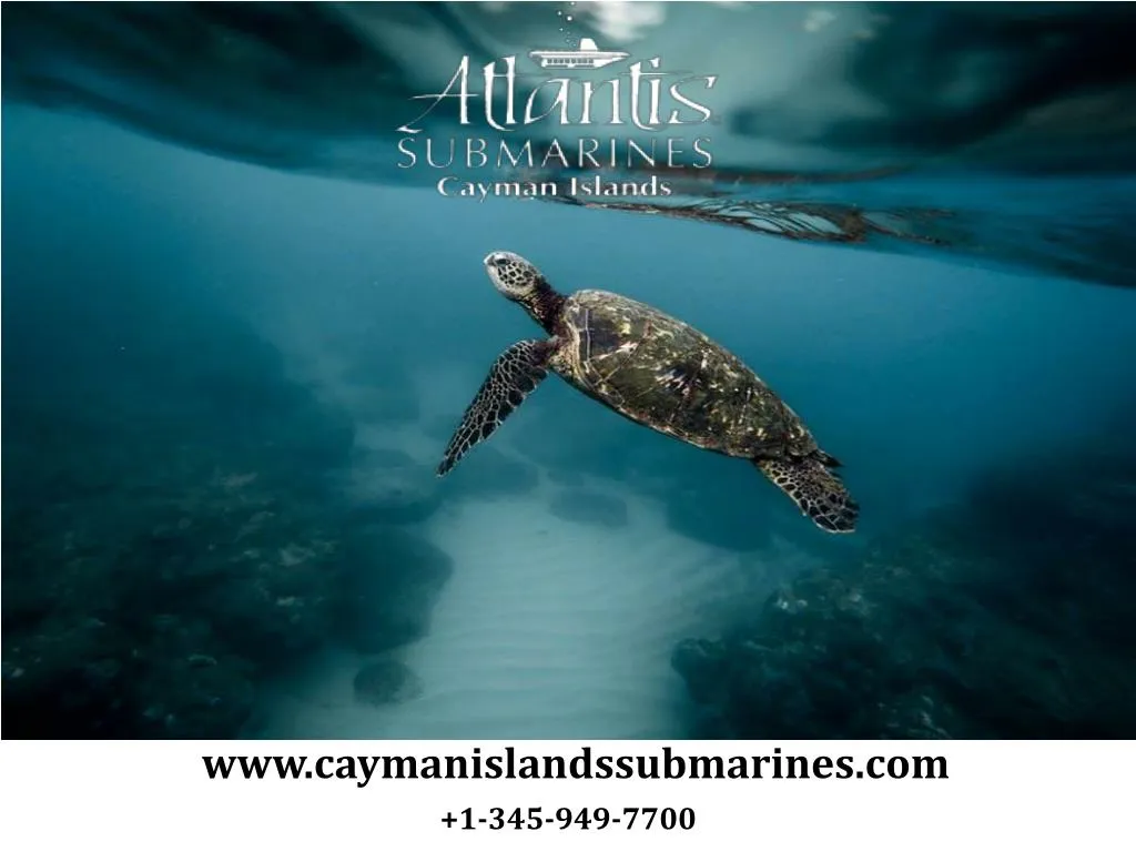 www caymanislandssubmarines com
