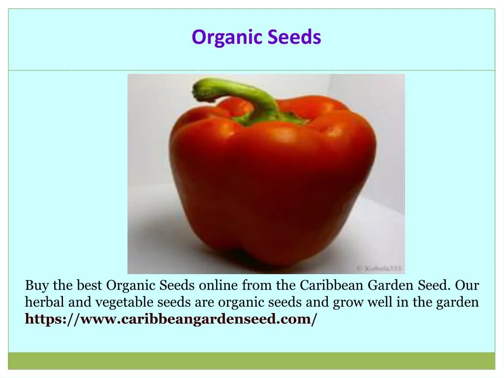 organic seeds
