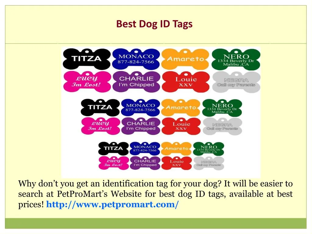 best dog id tags
