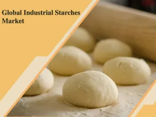 Global Industrial Starches Market - slide 1