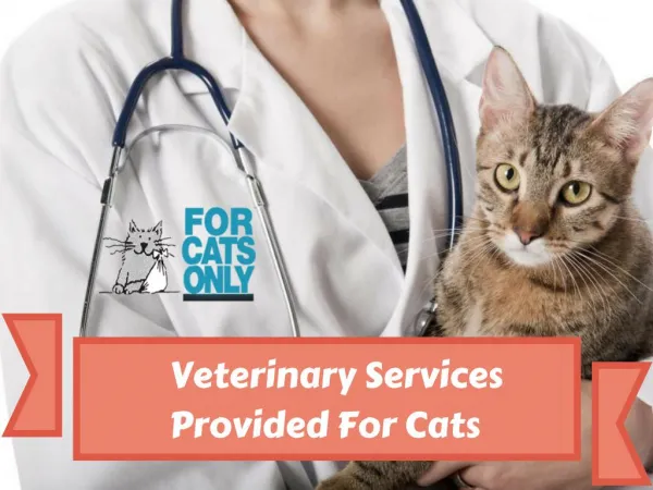 Trusted and Professional Veterinarian in West Palm Beach