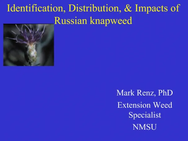 Identification, Distribution, Impacts of Russian knapweed