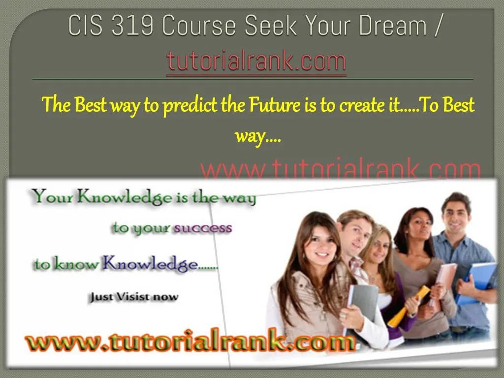cis 319 course seek your dream tutorialrank com