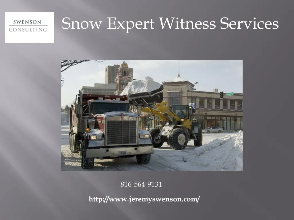 snow expert witness services