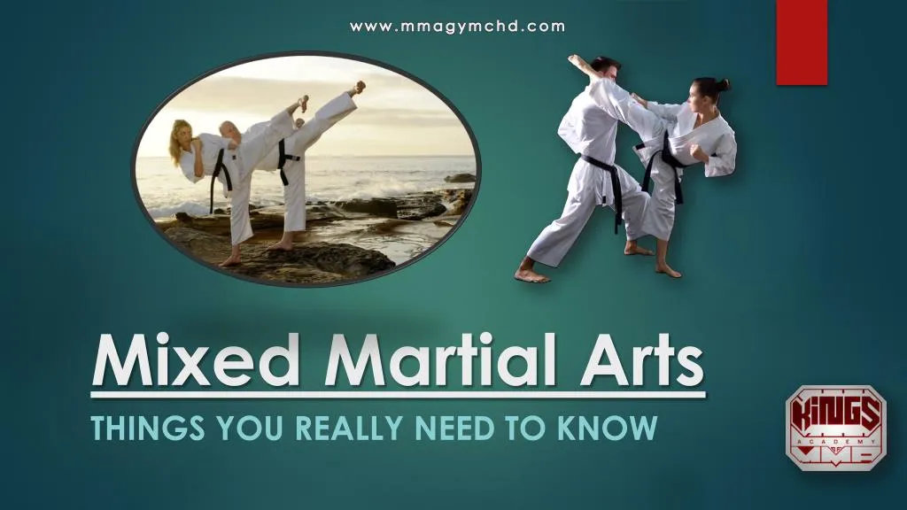 mixed martial arts