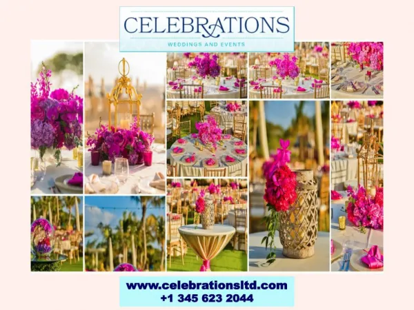 Hire the Best Wedding Planner & Designer in the Cayman Islands!
