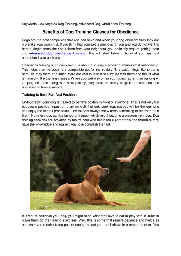 Advanced Dog Obedience Training - The Dog Savant