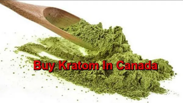 Online Store To Buy Kratom In Canada