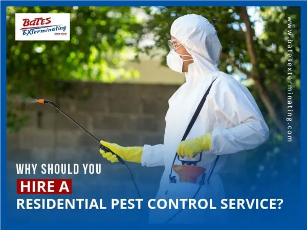 Why Hire Residential Pest Control Services?
