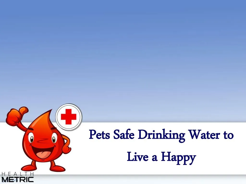 pets safe drinking water to live a happy