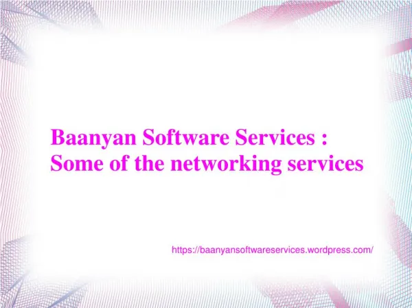 Baanyan Software Services -Some of the networking services