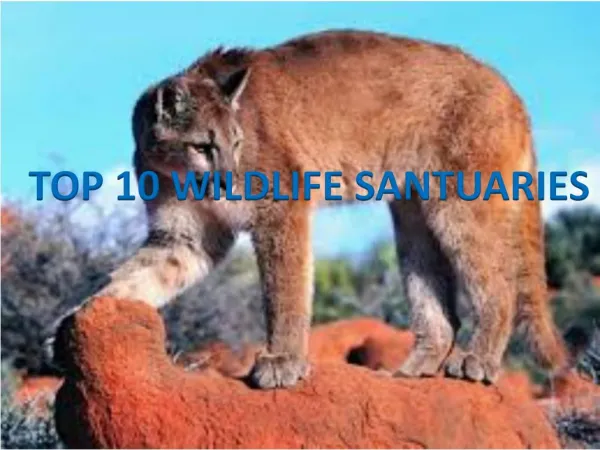 Top 10 wildlife sanctuaries in Kerala