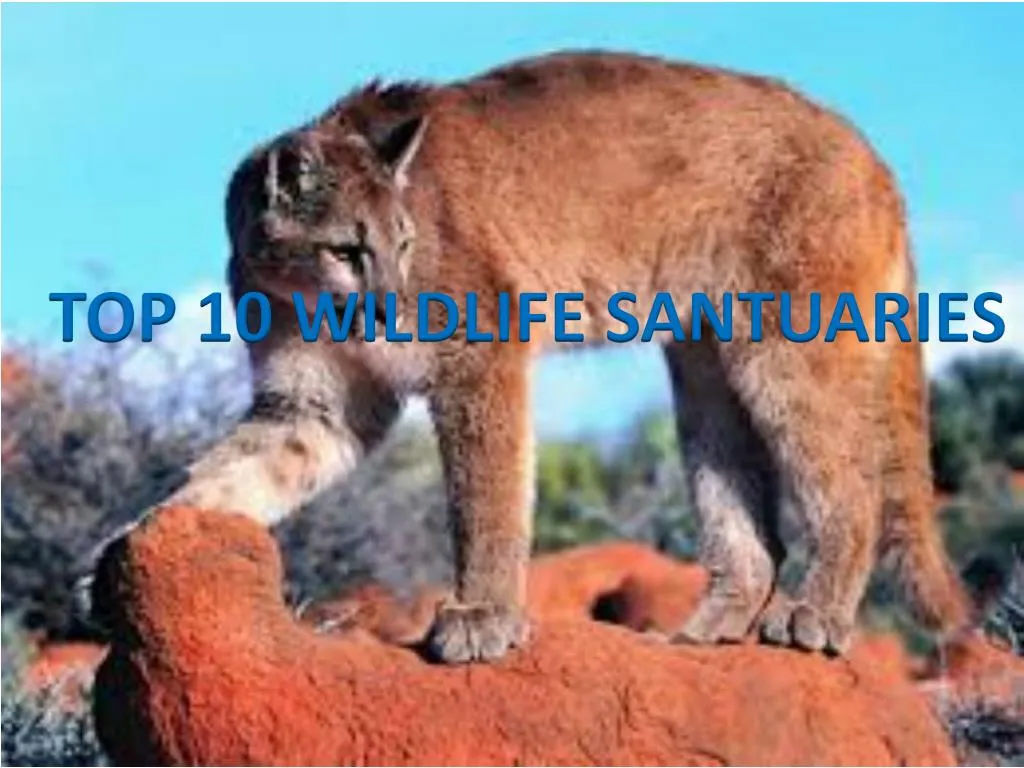 top 10 wildlife santuaries