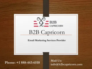 Insurance Email List - B2B Capricorn - slide 1