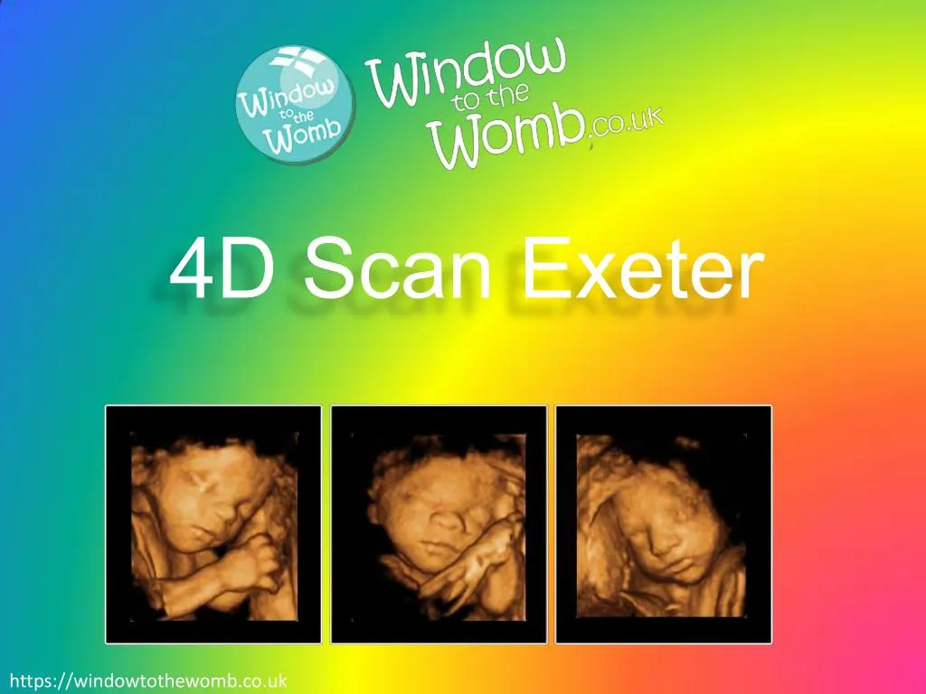 4d scan exeter