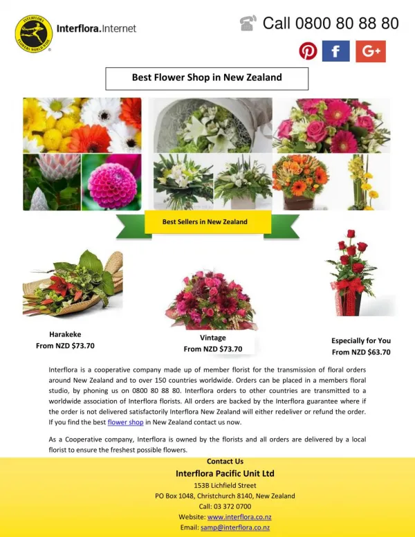 Best Flower Shop in New Zealand