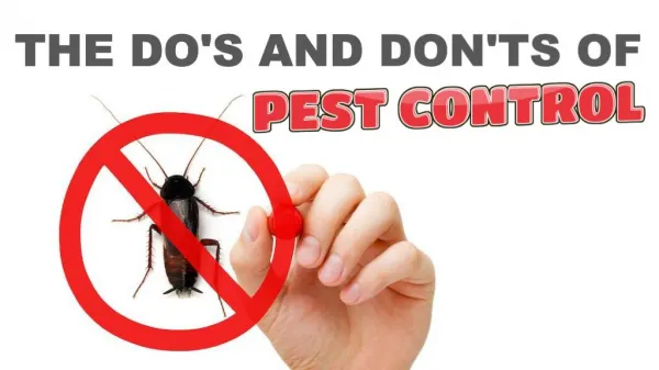 The Do's and Don'ts of Pest Control