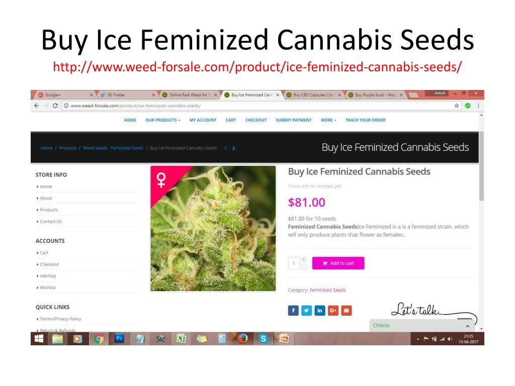 buy ice feminized cannabis seeds http www weed forsale com product ice feminized cannabis seeds