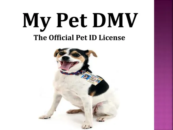 Design Custom Pet Driver’s License ID Tags - MyPetDMV