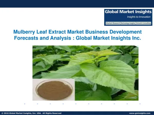Mulberry Leaf Extract Industry, Business Development Analysis and Future Challenges by 2024