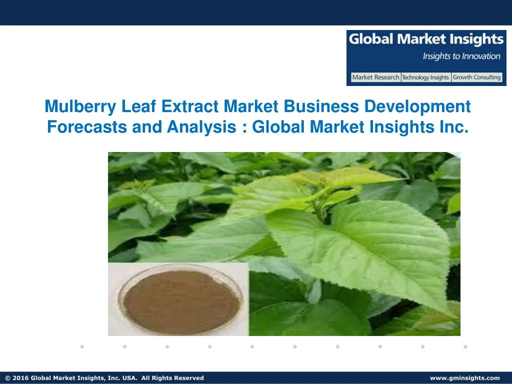 mulberry leaf extract market business development