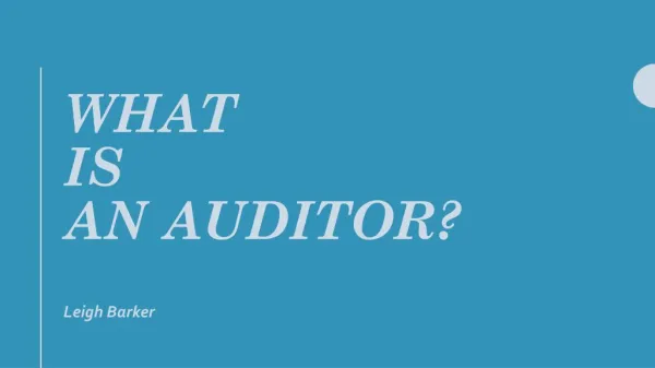 What Is An Auditor?