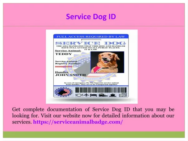 Emotional Support Dog Registration
