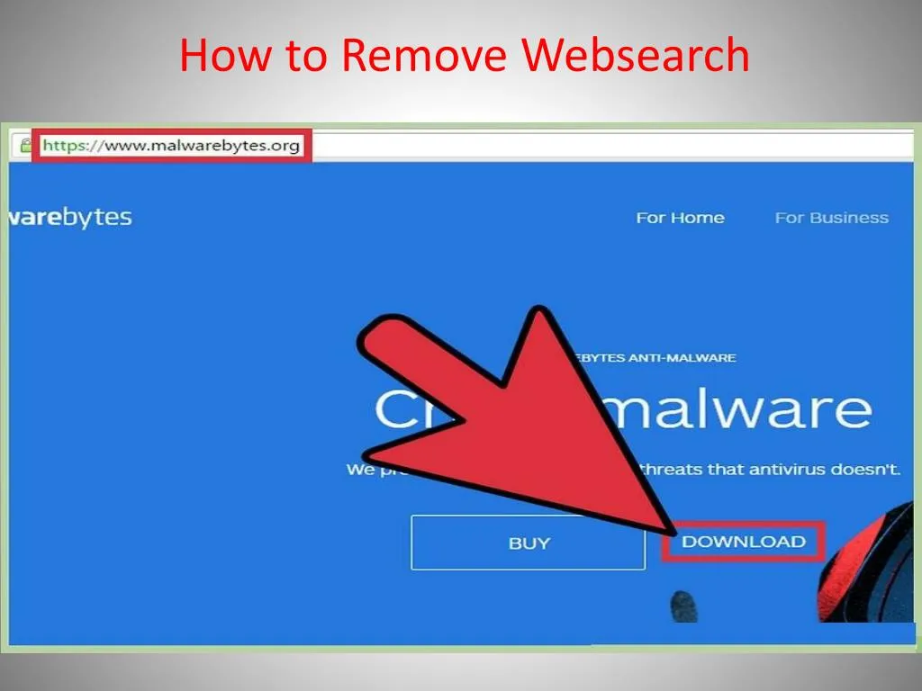how to remove websearch