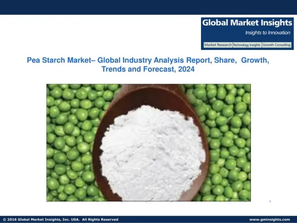 Pea Starch – Global Industry Analysis Report, Share, Growth, Trends and Forecast, 2024