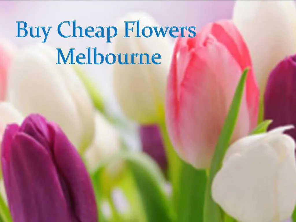 buy cheap flowers melbourne