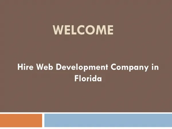 Hire Web Development Company in Florida