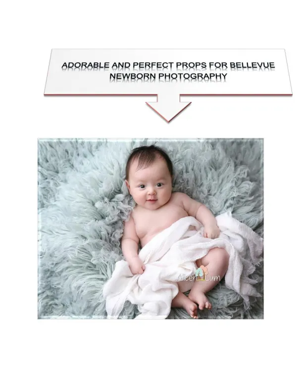 Adorable And Perfect Props For Bellevue Newborn Photography
