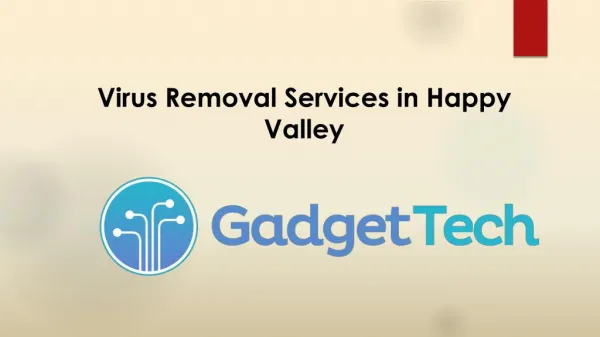 Virus Removal Services in Happy Valley