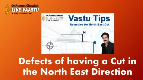 Defects of having a cut in the North​ ​East​ ​Direction.​