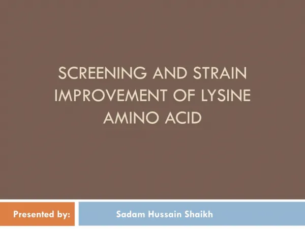 screening and strain improvement of lysine