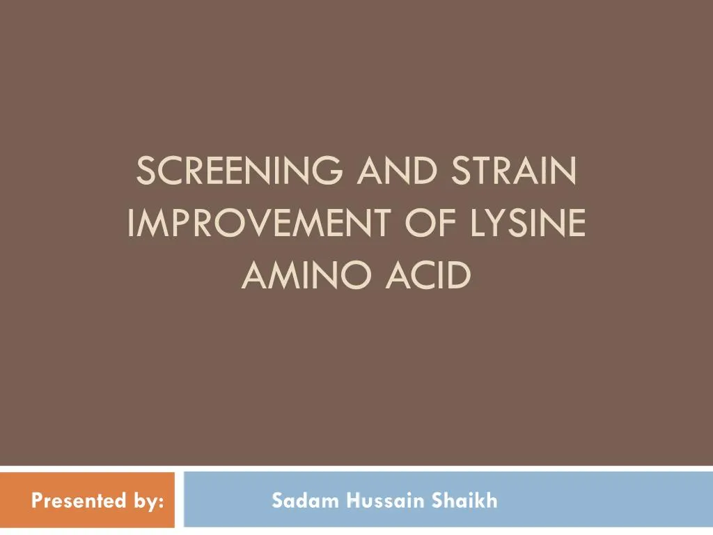screening and strain improvement of lysine amino acid