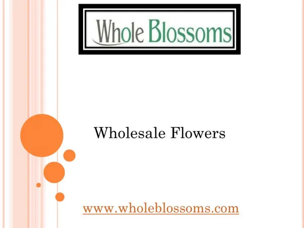 Wholesale Flowers - Whole Blossoms