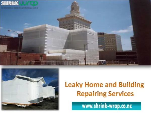 Leaky Home and Building Repairing Services in New Zealand