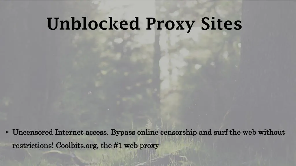 u nblocked proxy s ites