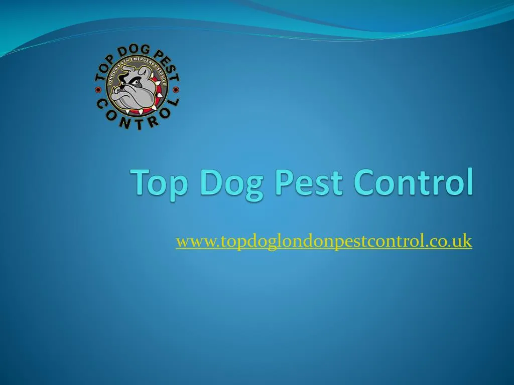 top dog pest control