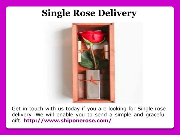 Single Rose Delivery