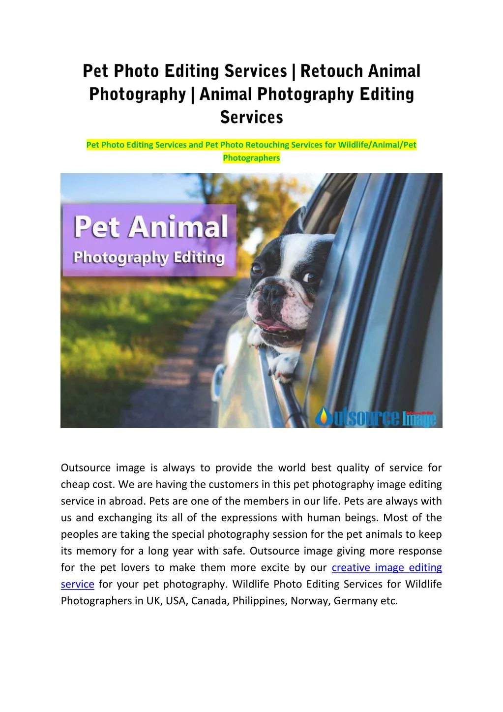 pet photo editing services and pet photo