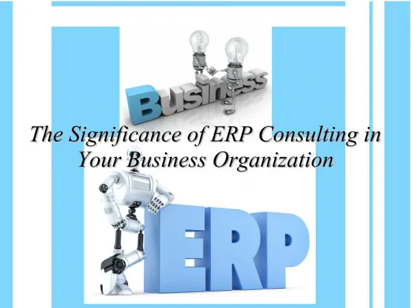 The Significance of ERP Consulting in Your Business Organization