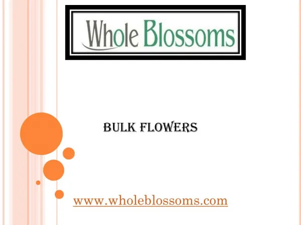 Bulk Flowers - wholeblossoms