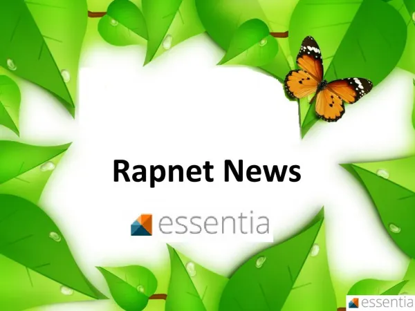 Rapnet News